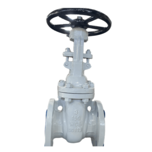 1821013-flexible-wedge-gate-valve-api-600-3-inch-150-lb-wcb-rf_oJrj6P.png